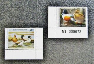 Nystamps Us Arkansas Duck Stamp 12 13 Og Nh $24
