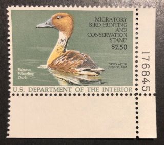 Tdstamps: Us Federal Duck Stamps Scott Rw53 $7.  50 Nh Og P Single