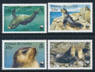 2004 Tristan Da Cunha Wwf Fur Seals Set Of 4 Fine Mnh