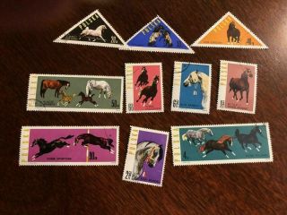Poland Horse Stamps Set Of 10
