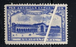 1901 Pan American Expo Buffalo Printers Error Crease No Ink Poster Stamp 20773