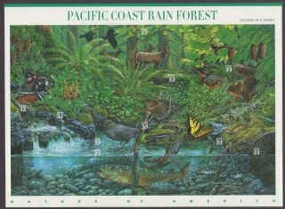Scott 3378 - Us Souvenir Sheet Of 20 - Pacific Coast Rain Forest - Mnh - 2000