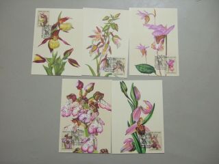 Set Of Five Orchids Maxi Cards