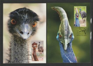 Australia 2019 : Flightless Birds,  Set Of 3 Maxi Cards.