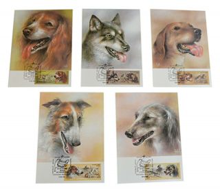 1988 Soviet Russia Ussr Full Set 5 Stamps Maxi Card Dogs Spaniel Laika Russian
