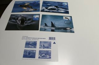 1995 Aat Antarctic Whales And Dolphins Stamp Maxi Card Set Of 4