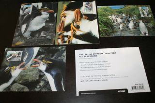 2007 Aat Antarctica Antarctic Royal Penguins Stamp Maxi Card Set