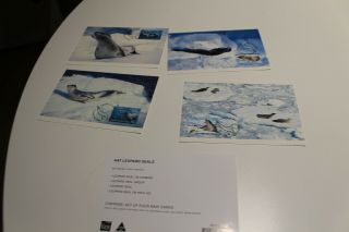 2001 Aat Antarctic Leopard Seals Amp Maxi Card Set Of 4
