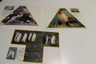1993 Aat Antarctic Regional Wildlife Stamp Maxi Card Set Of 3