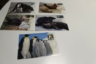 1992 Aat Antarctic Regional Wildlife Stamp Maxi Card Set Of 5
