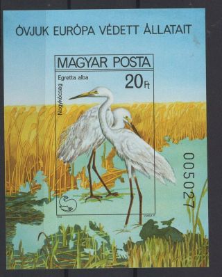 Hungary,  Magyar,  Stamps,  1980,  Mi.  Bl 146 B.