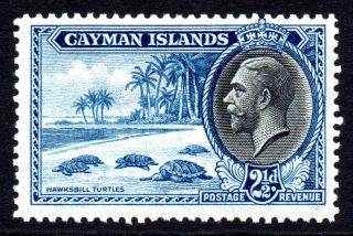 Cayman Islands 2 1/2d Stamp C1935 Mounted (696)