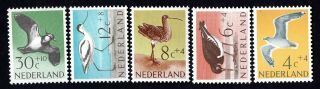 Netherlands 1961 Group Of Stamps Mi 760 - 764 Mnh Cv=11€