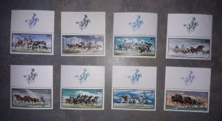 Display Set Of 8x Horse Riding Hungarian (magyar Posta) 1968 Postage Stamps