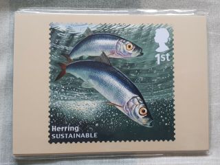 Royal Mail Sustainable Fish Phq (390) Full Set Of 10 Cards