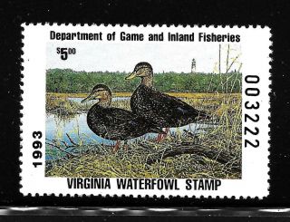 Hick Girl Stamp - M.  N.  H.  U.  S.  State Of Virginia 1993 Duck Hunting Stamp Y1995