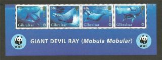 Gibraltar Stamps 2006 Wwf Giant Devil Ray Block U/m