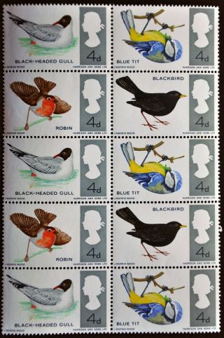 Sg696a 1966 British Birds,  Block Of 10,  Mnh