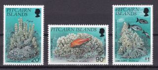 Pitcairn Islands - 1994 - Corals.  Complete Set,  3v.  Nh