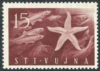 Triest B,  Vuja,  1952,  Underwater World,  Starfish,  Mnh