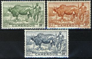 French Cameroun 1946,  10 - 40c Zebu Cattle And Herder Mnh