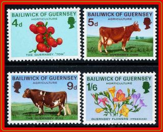 Guernsey 1970 Cows & Flowers Sc 33 - 36 Cv$7.  00 Mnh Animals,  Cattle