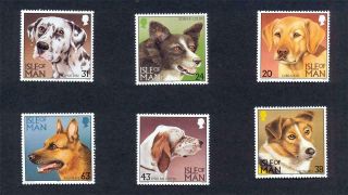 Gb Iom Isle Of Man Stamps 1996 Dogs & Pets Set U/m