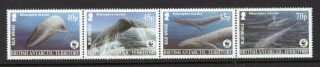 British Antarctic Territory 2003 Blue Whale Strip Um (mnh)