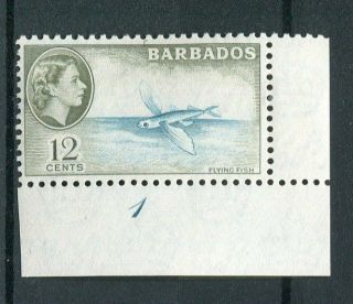 Barbados Qeii 1953 - 61 12c Sg296 Mnh Corner Plate Margined