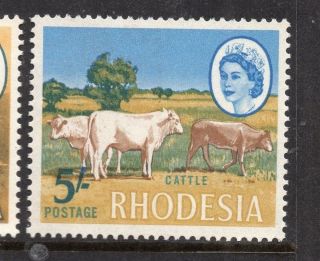 Rhodesia 1966 Qeii Early Issue Fine Hinged 5s.  233279