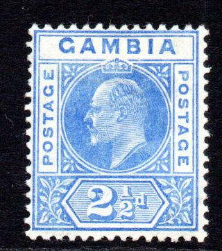 Gambia 2 1/2d Stamp C1905 Mounted