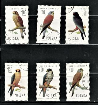 Hick Girl Stamp - Poland Stamp Sc 2074 - 79 1975 Falcons S875