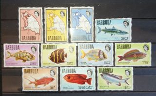 Set Of 11 Qeii Stamps From Barbuda,  1968.  Cat£12