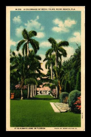 Dr Jim Stamps Us Royal Palms Miami Beach Florida Linen Postcard 1937