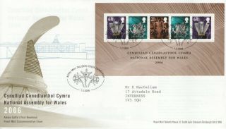 Gb Fdc 2006 " Assembly For Wales " M/s
