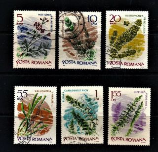Romania Postage Stamps 1966 Fine Plants & Flowers (6v).