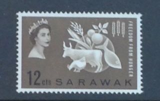 Sarawak 1963 Freedom From Hunger Sg203 Unmounted