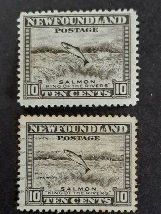 Newfoundland 2 Great Old Mnh Stamps As Per Photos.  Very