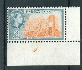 Barbados Qeii 1953 - 61 2c Sg290 Mnh Corner Plate Margined