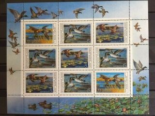Russia Cccp Ducks Animals Fauna Birds Good Sheet Mnh,  Lk 55609