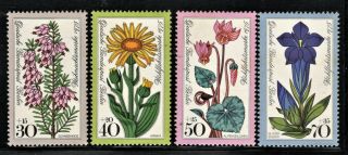 Hick Girl Stamp - Mh.  German Semi - Postal Stamps Flowers Q1723