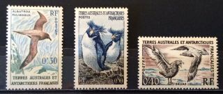World Stamps French Antarctic Territories 1955 Line 3 Birds Stamps (b5 - 7j)