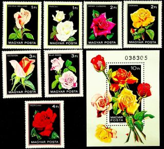 Hungary 1982 Roses Flower Good Set Of 8v (incl.  1 Sheet) Fine Mnh 2735 - 42