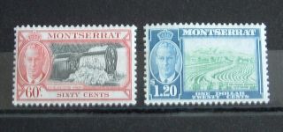 Montserrat 1951 Sg 132 & 133 - Mh Stamps,  No Faults To Sell