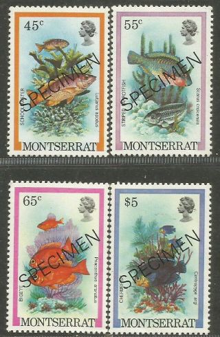 Montserrat 1981 Fish Specimen Overprinnt 4 Values Mnh 2038