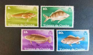 Completes Set Of 4 Qeii Stamps From Tristan Da Cunha.  Fish,  1978