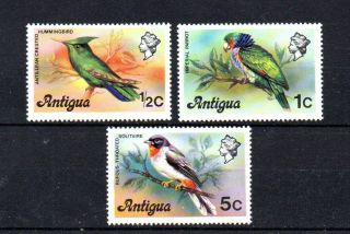 Set Of 3 Bird Stamps From Antigua.  1978