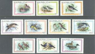 Barbuda 1980 Birds Short Set To 50c (10) Mnh