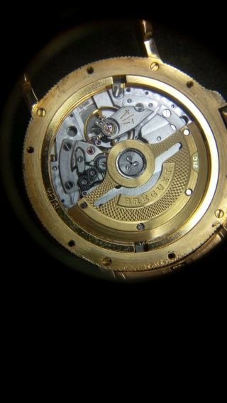 Breguet Marine Automatique in 18K.  YG Complete 33mm 149 grams with Authentic Box 8
