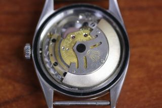 Vintage 1960 ' s Rolex 1016 Explorer Watch Black Dial 36mm Head Only 8